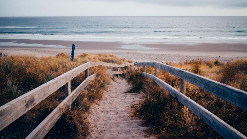 A Glimpse of Our Life before Trauma